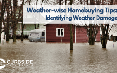 Weather-wise Home Buying: Identifying Weather Damage